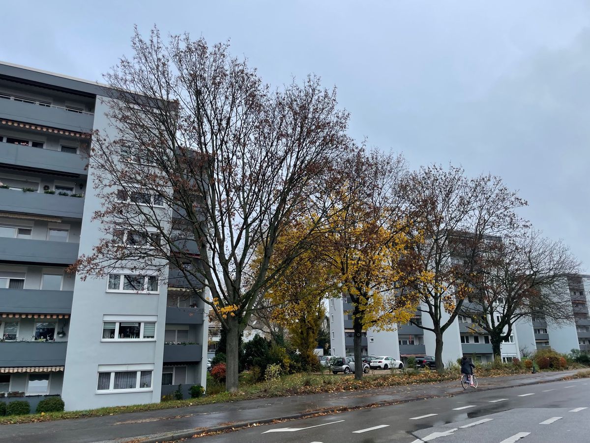 Wohnblock hinter altem Baumbestand