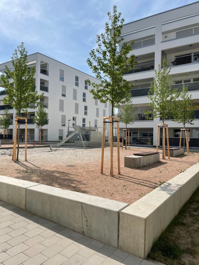 Neu gestaltete Außenanlage mit jungen Bäumen